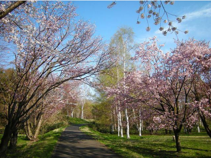 真駒內公園