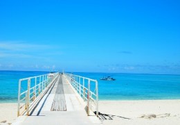 summer-of-okinawa