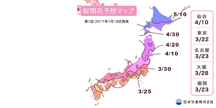 櫻花開花預測 17 最新消息 婚紗攝影ema Mino 婚響有限公司 Ema Mino中国语