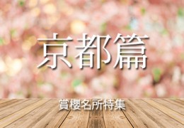 賞櫻特集京都篇