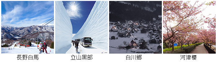 立山黑部、長野白馬、白川鄉、河津櫻