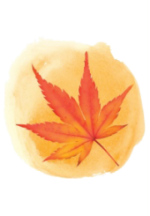紅葉ICON